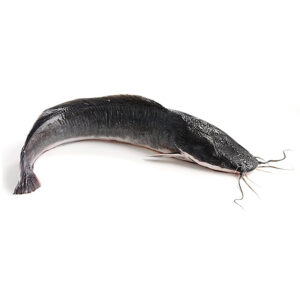 Catfish 1Kg